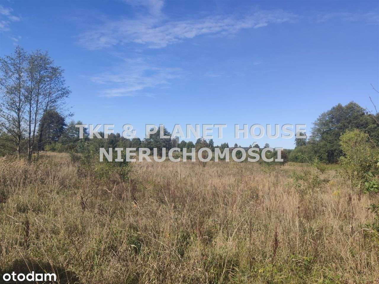 Działki na sprzedaż Giełzów gm. Drzewica - Pełny obrazek: 4/5