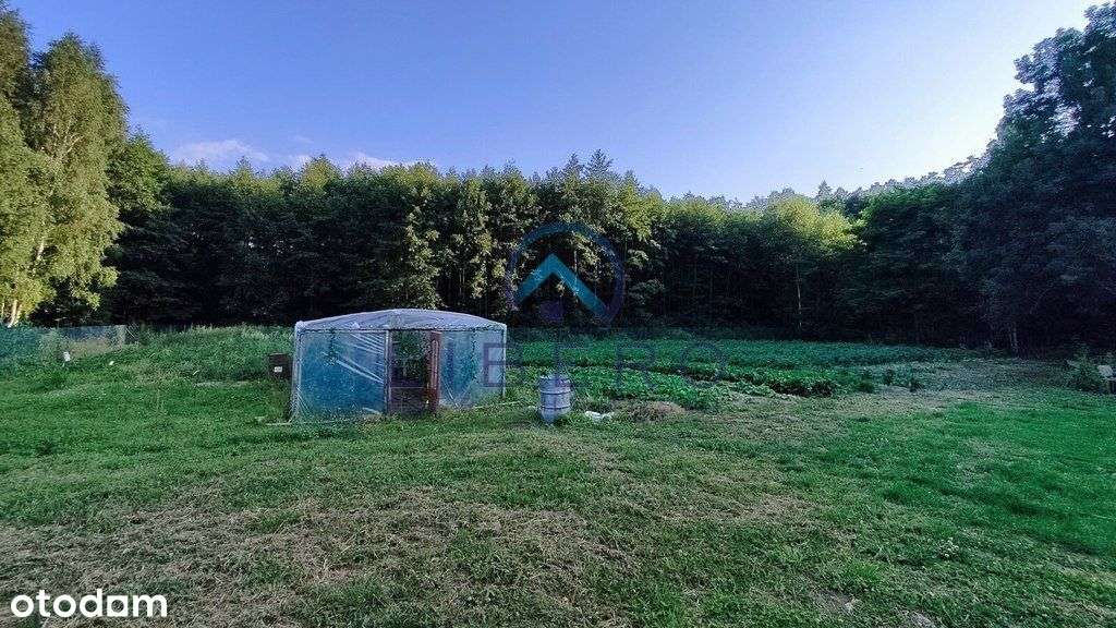 Siedlisko typu ustronny zakątek-7