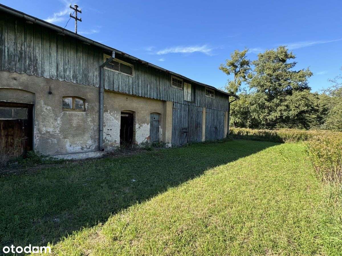 działka 8500m2 Długołęka-7