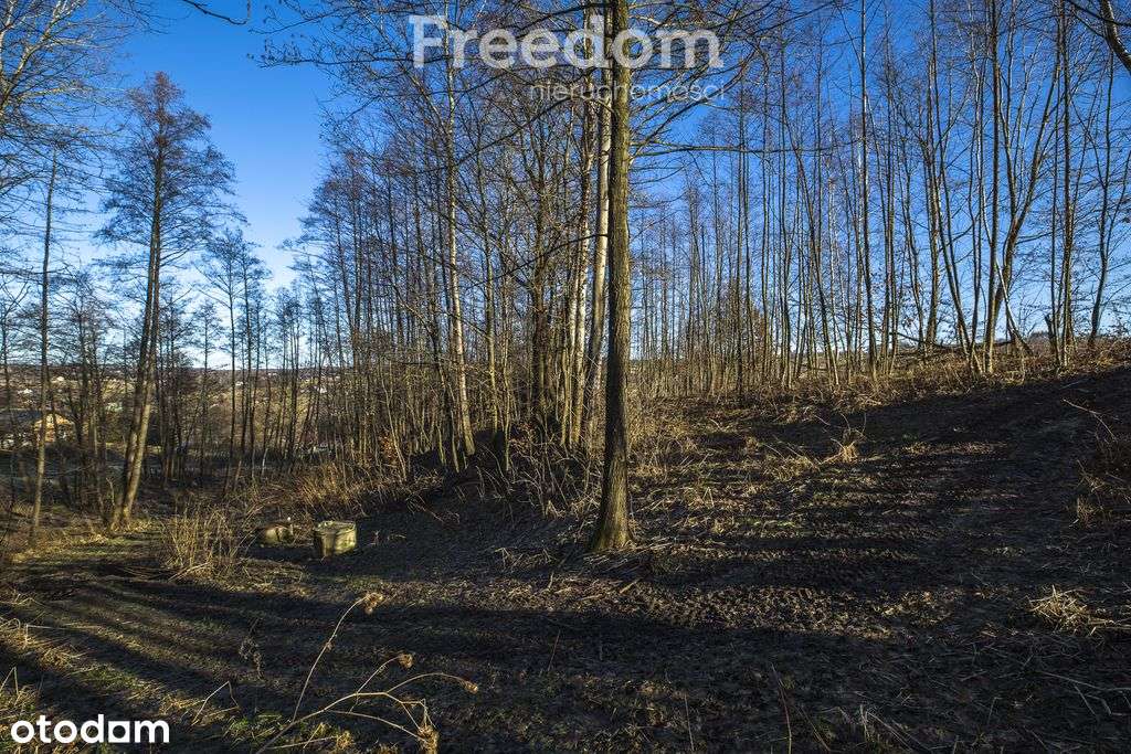 Zadrzewiona działka z widokiem – Błędowa Tycz-13