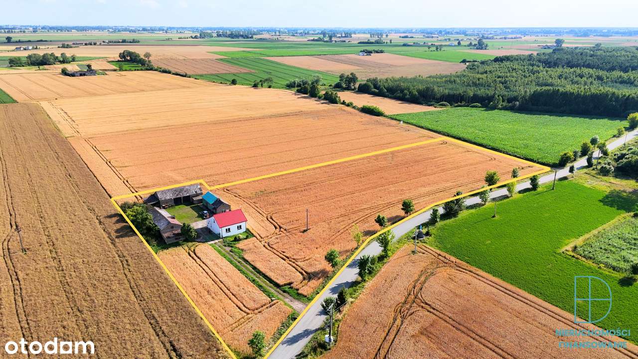 Dom z dużą działką 1,05 ha – Franki, gm. Krośniewice - Pełny obrazek: 5/17