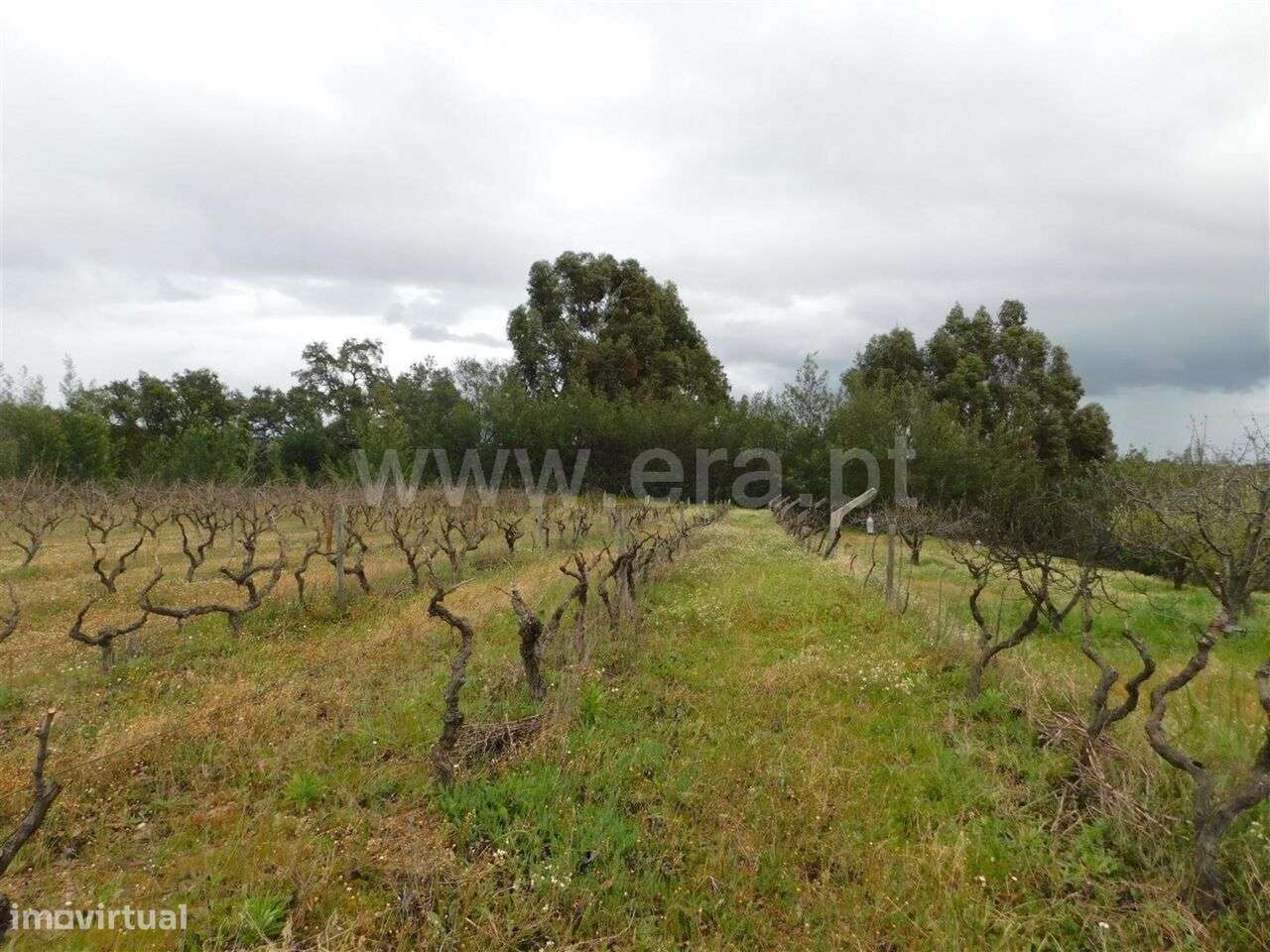 Terreno / Fundão, Póvoa da Atalaia - Grande imagem: 2/11