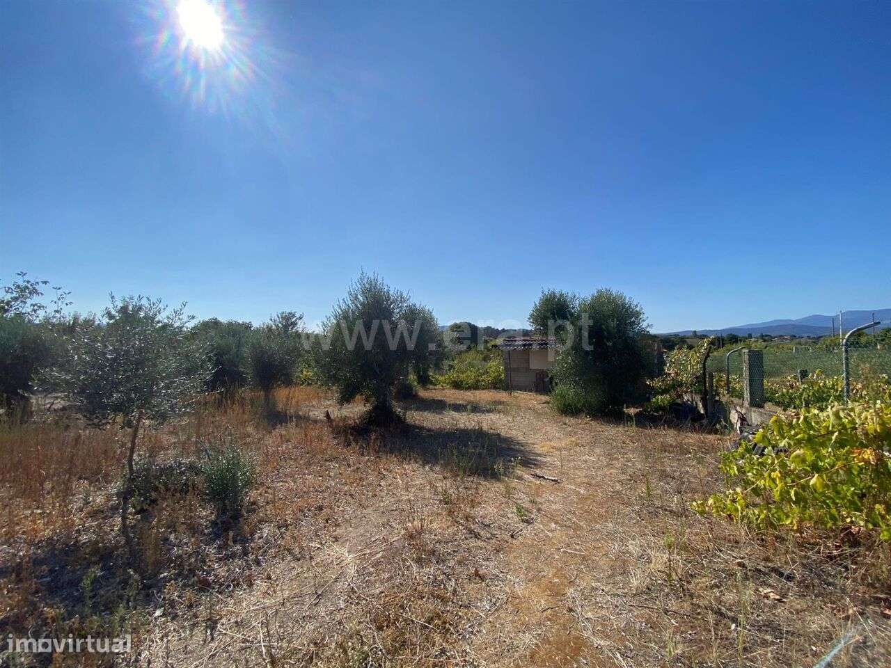 Terreno Agrícola Fundão - Grande imagem: 5/8