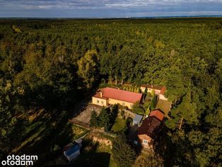 Lokal użytkowy Doskonałe miejsce na usługi Gąbin