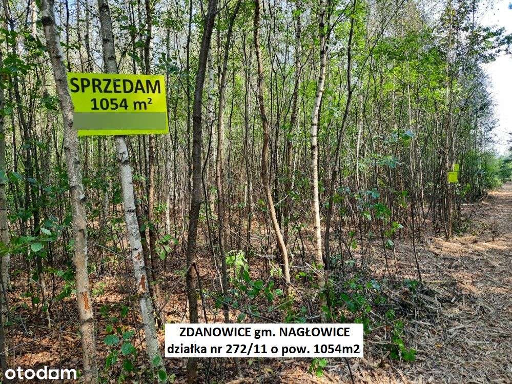 Tania działka rekreacyjna 1054m2 (plan) cena 54.900zł (f-ra 23% VAT)-16