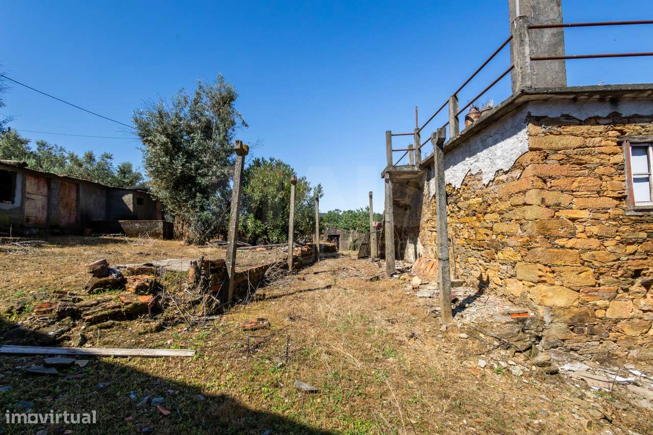 PROPRIEDADE DE CARÁTER NA N2 | 400 m² DE CONSTRUÇÃO, OLIVAL E POTEN...-25