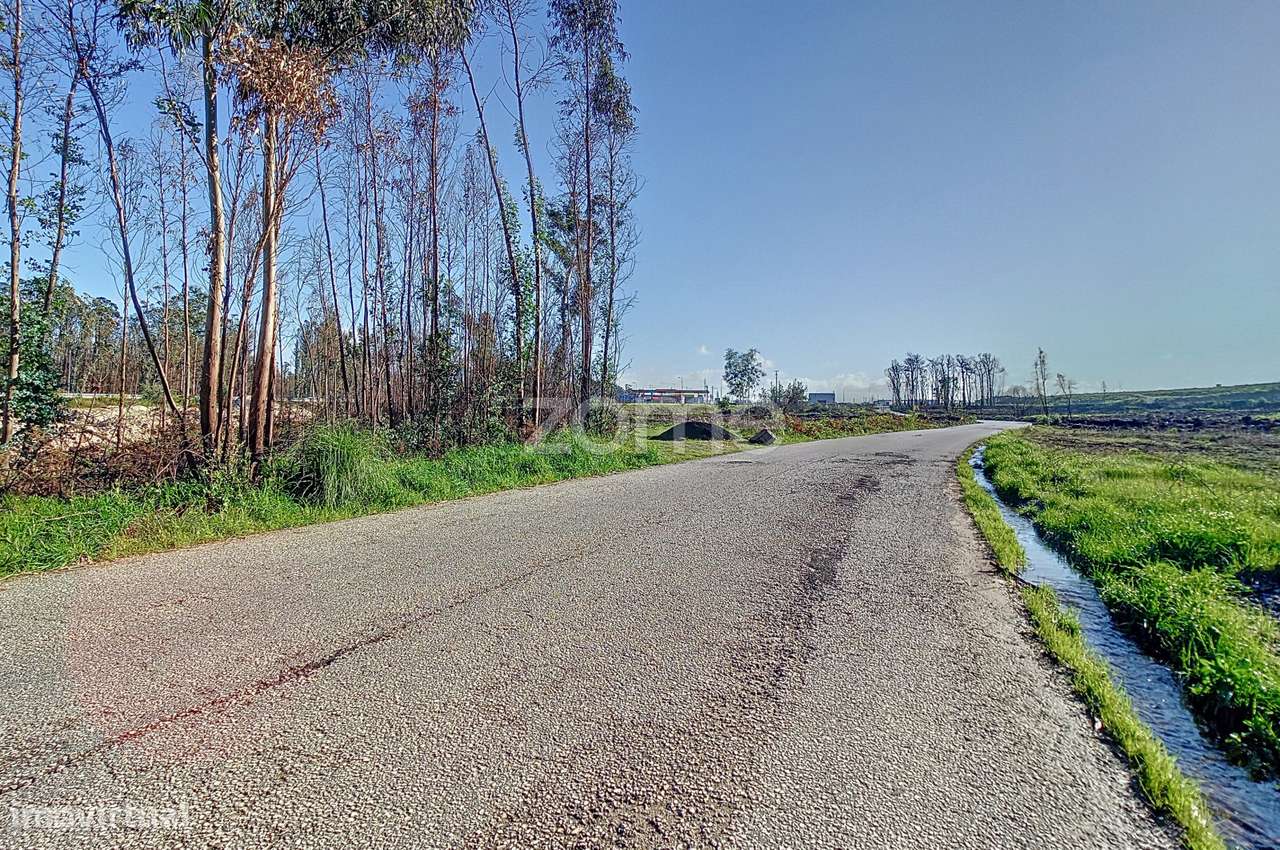 TERRENO INDUSTRIAL COM 20.000 m² EM AVEIRO - Grande imagem: 2/17