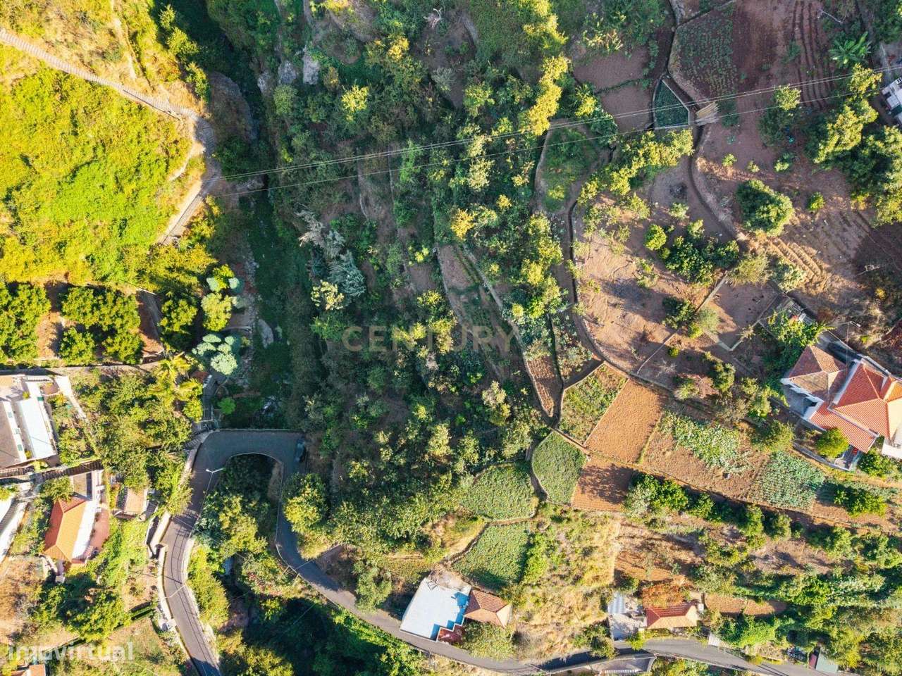 Terreno Rústico com Potencial para Construção – Jardim da Serra, Câmar - Grande imagem: 4/6