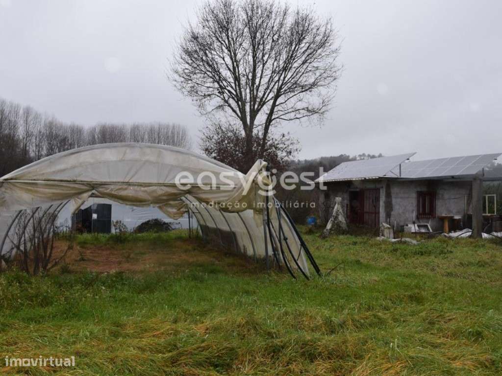 Terreno de exploração agrícola, localizado em Coutos de Viseu - Grande imagem: 5/25