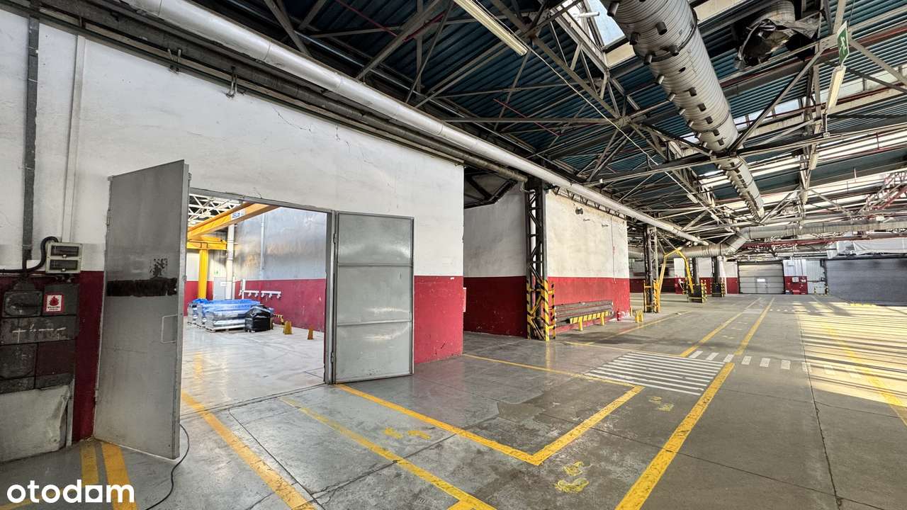 Nowoczesna hala 8500 m², Bielsko-Biała, przy S1 – od września 2026 r. - View 3