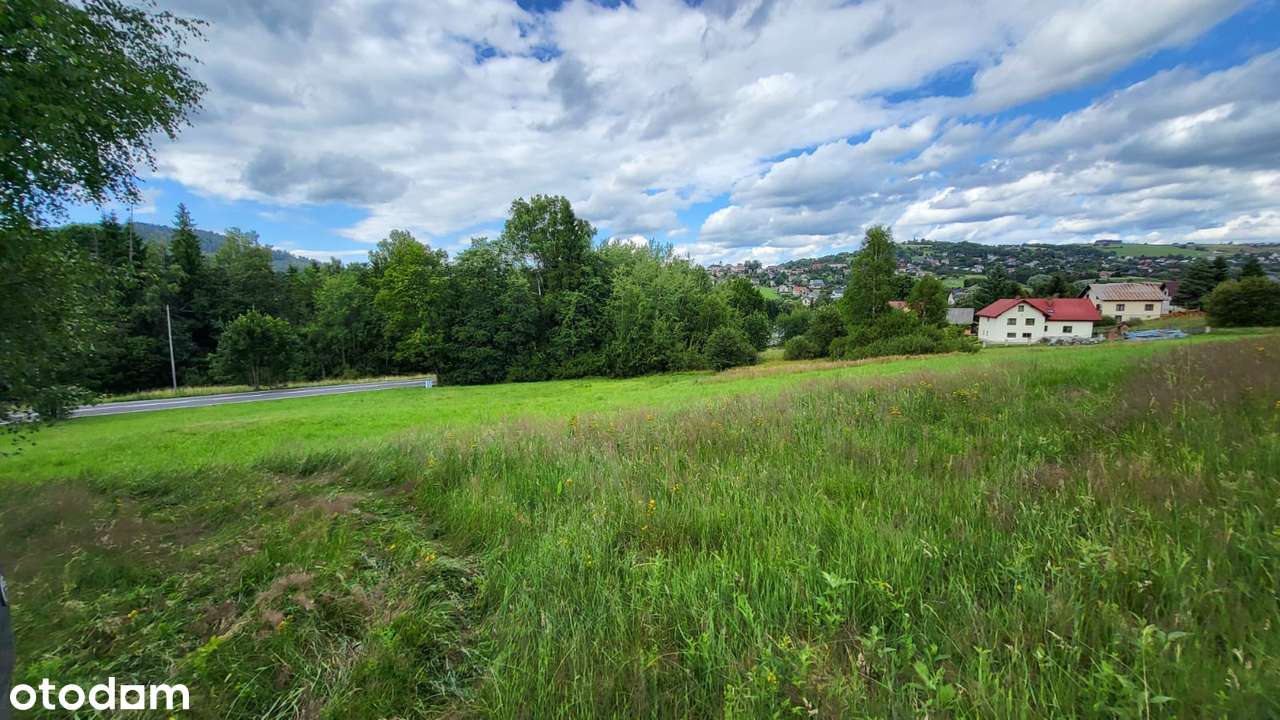Działka budowlana, 1600 m2, Istebna - Pełny obrazek: 4/15