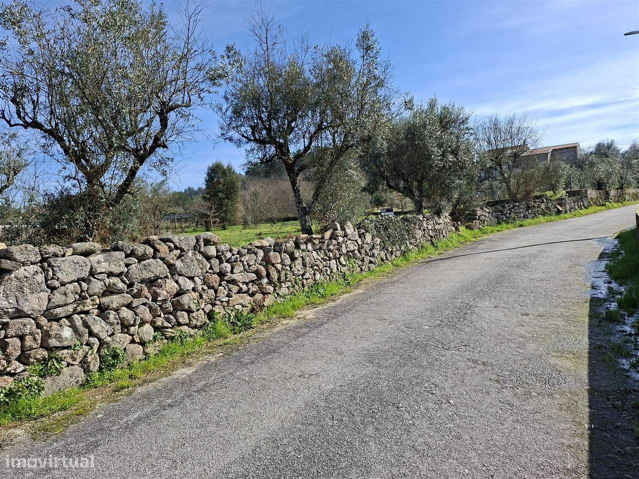 Terreno para construção em Fornos de Maceira Dão, Mangualde - Grande imagem: 5/9