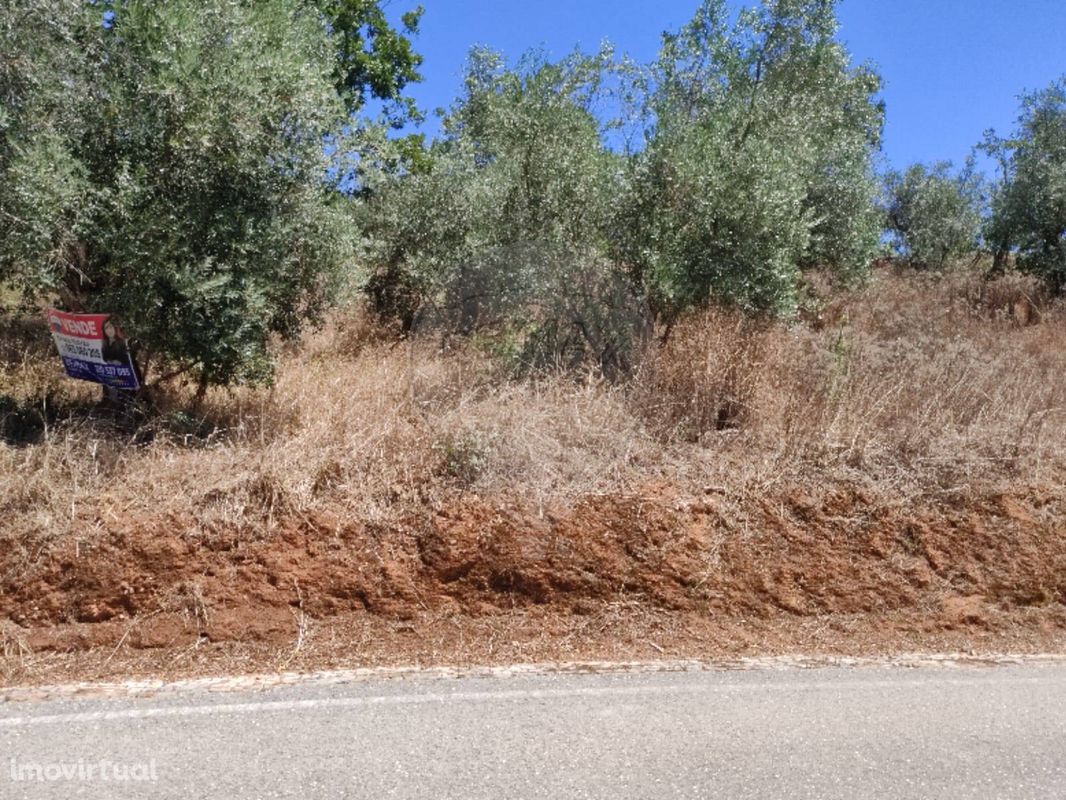 Terreno  para venda