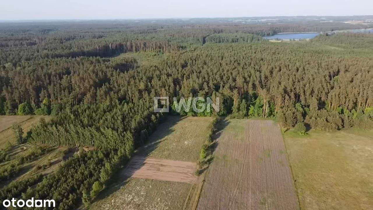 Działka przy ścianie lasu - Pełny obrazek: 5/8