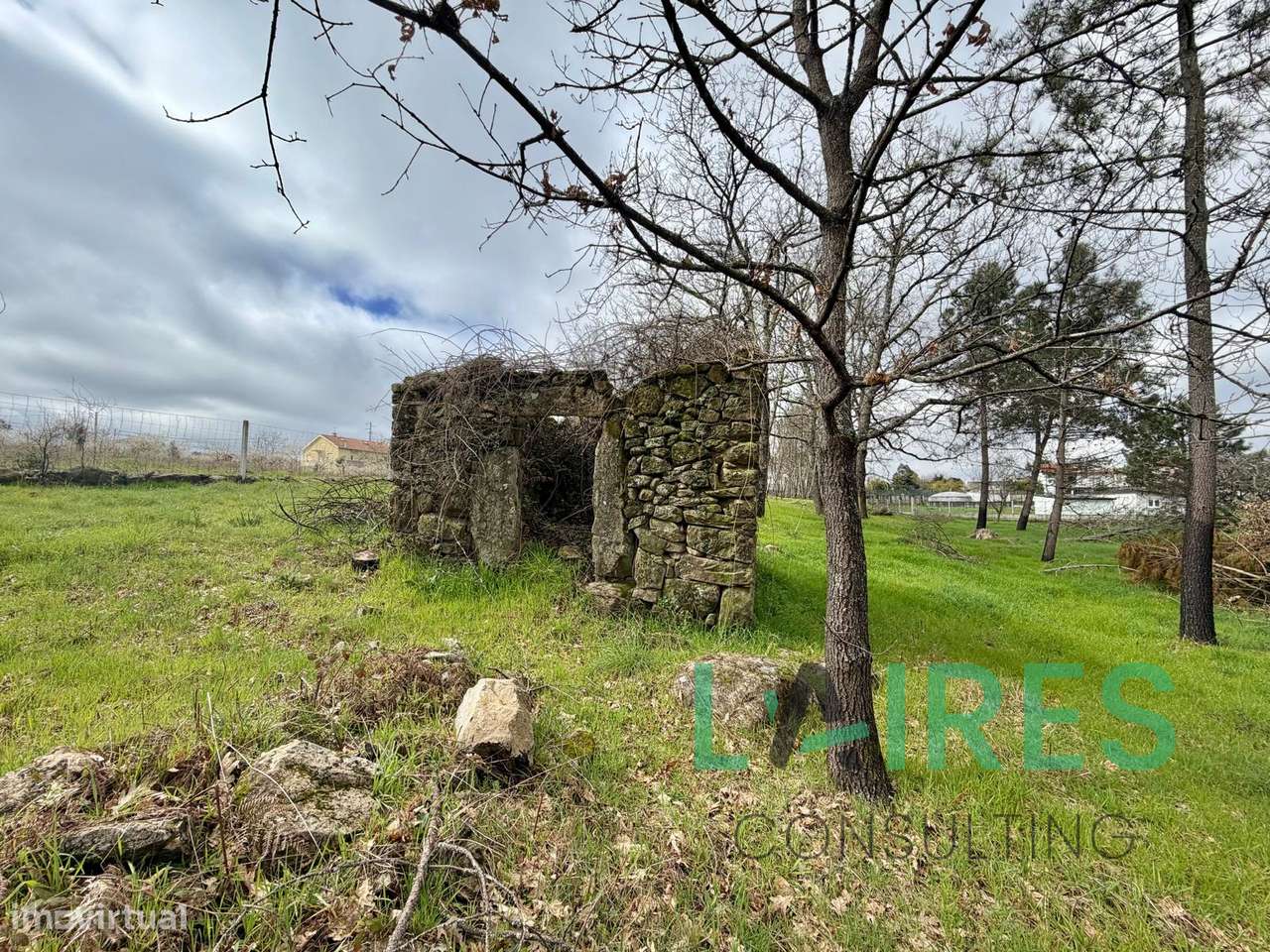 Terreno para construção - Mangualde-7