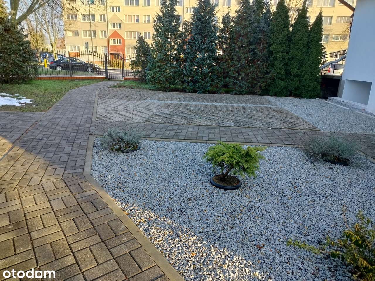 Dom Mieszkalno- Usługowy w Centrum Lubina - Pełny obrazek: 5/8