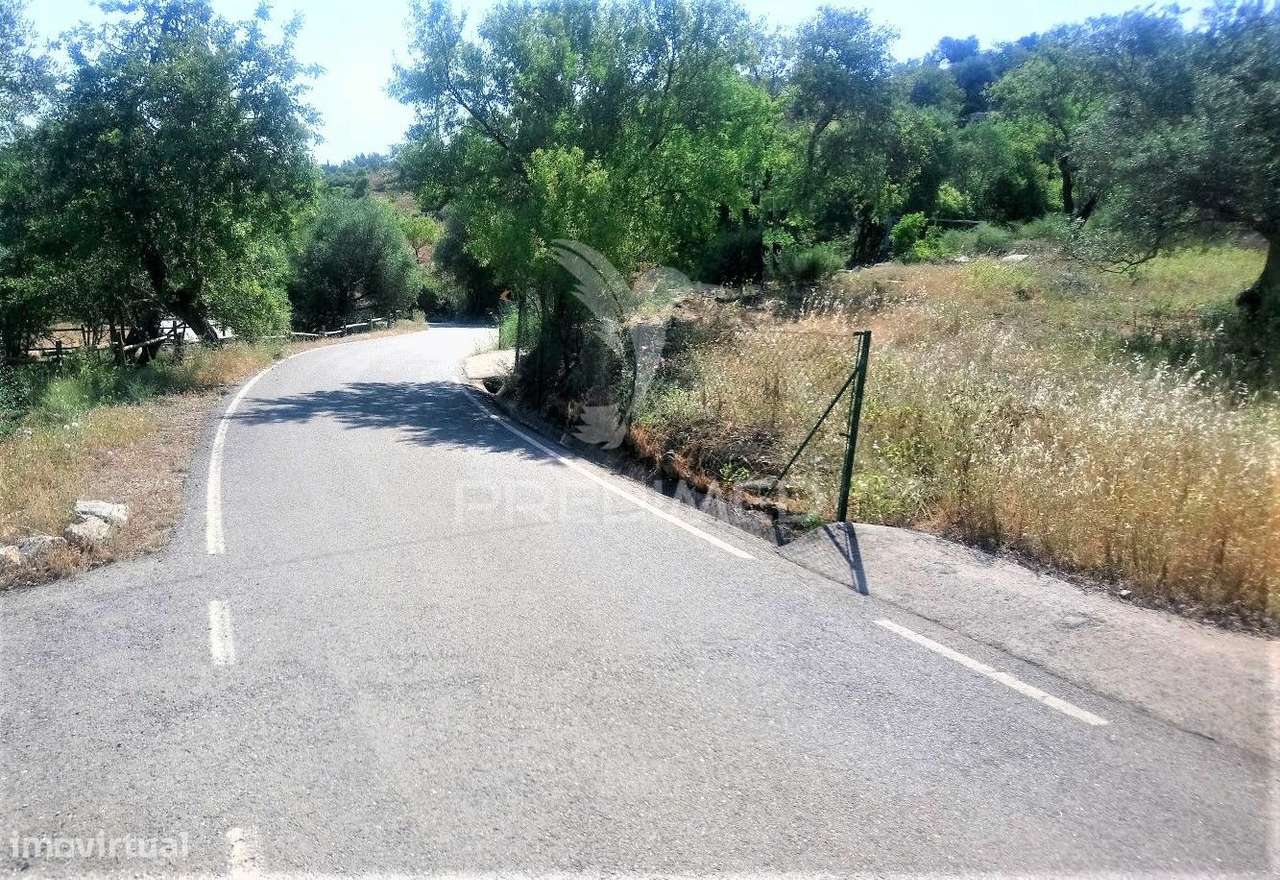 TERRENO RUSTICO -SANTO ESTEVÃO-TAVIRA - Grande imagem: 4/12