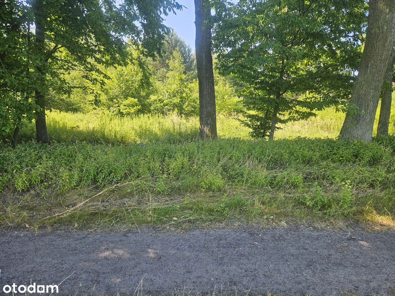 POLECAMY sprzedaż działki budowlanej w Chwałowicach-4