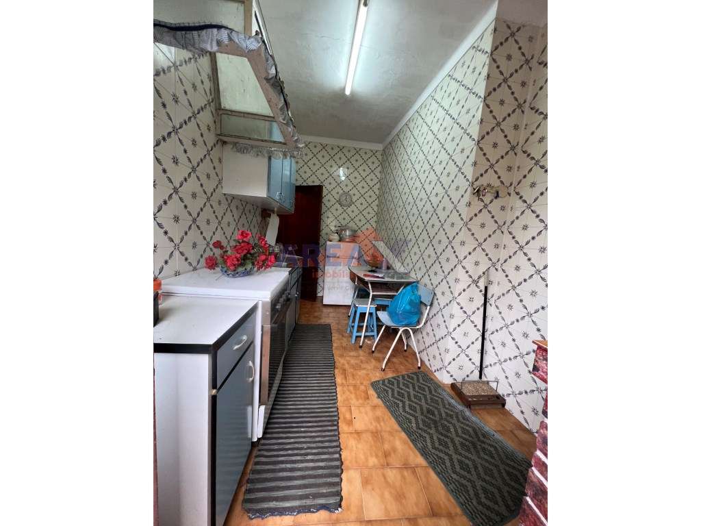 Oportunidade: 2 casas + artigo rústico com 2,0648 ha, perto de Oliv...-39