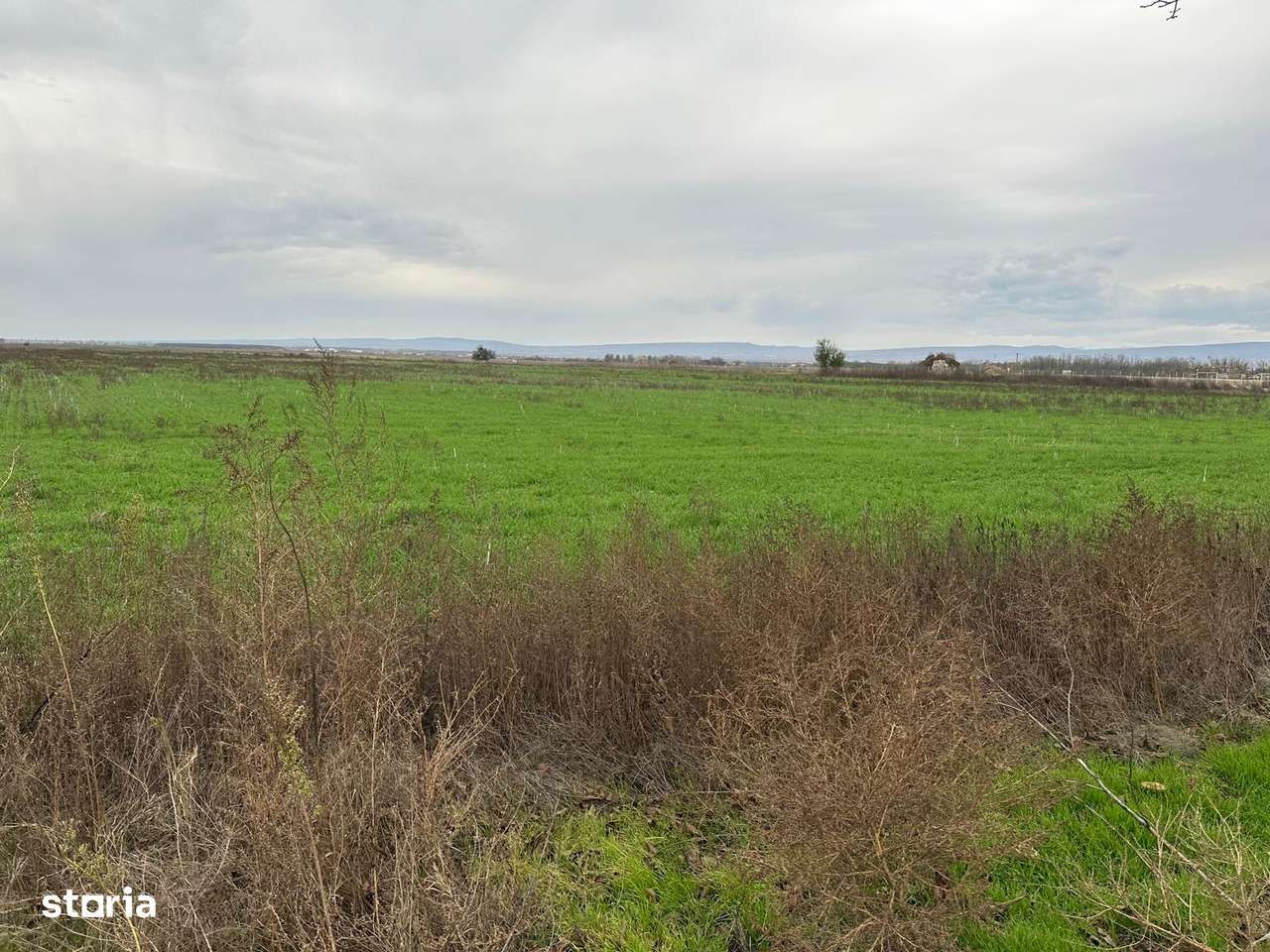 Teren de vânzare 55000 mp, utilități disponibile - Imagine principală: 3/4