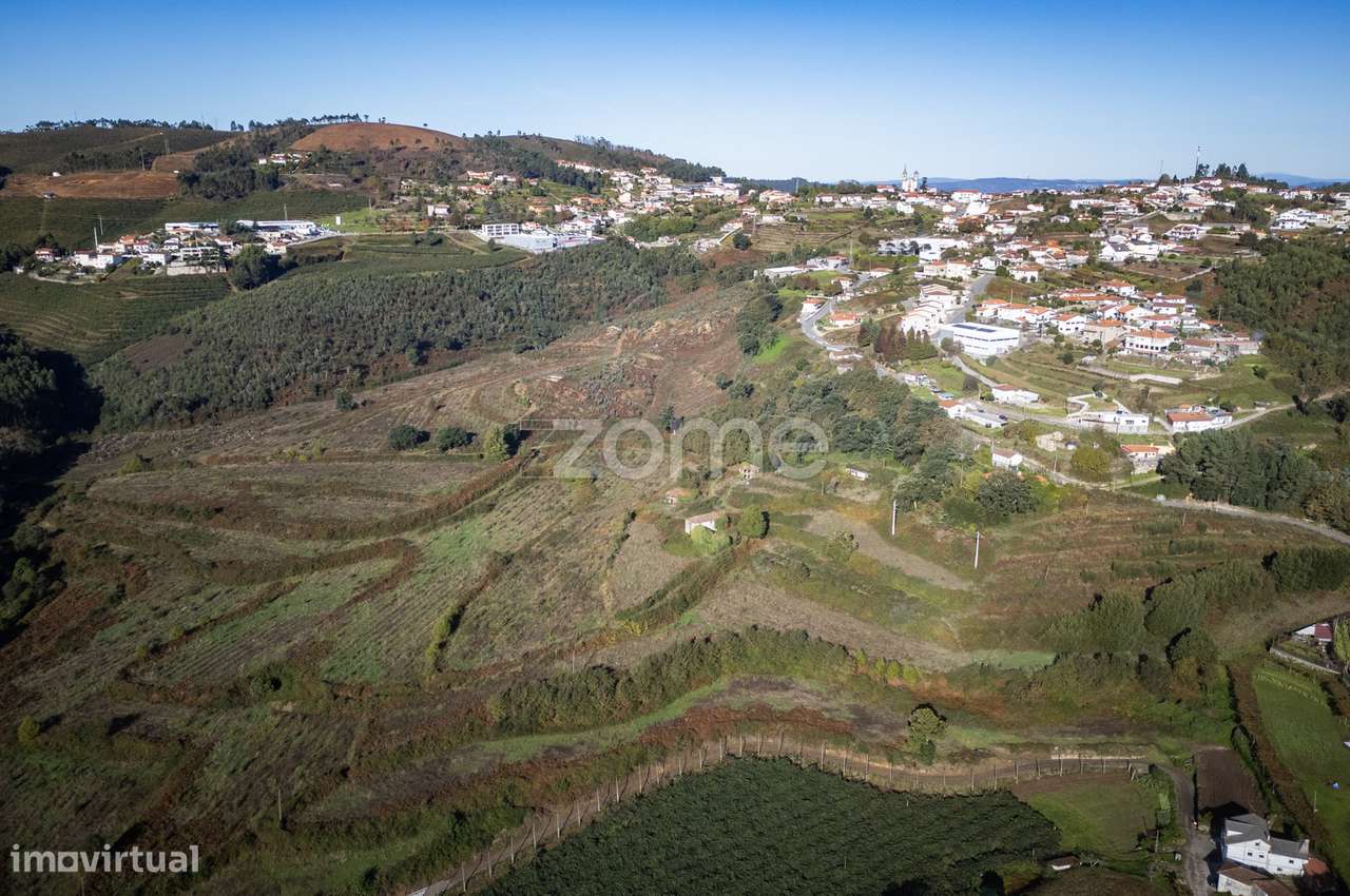 Quinta em Baltar com 35 Hectares de Terreno - Grande imagem: 3/52