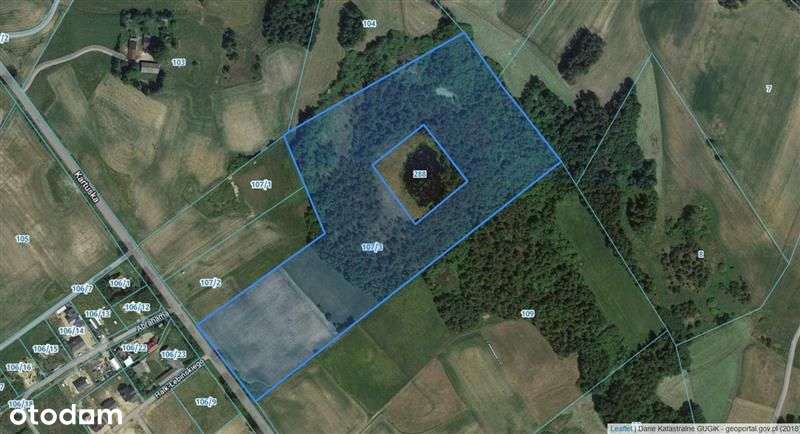 Działka usługowa - Łebno - Pełny obrazek: 3/9