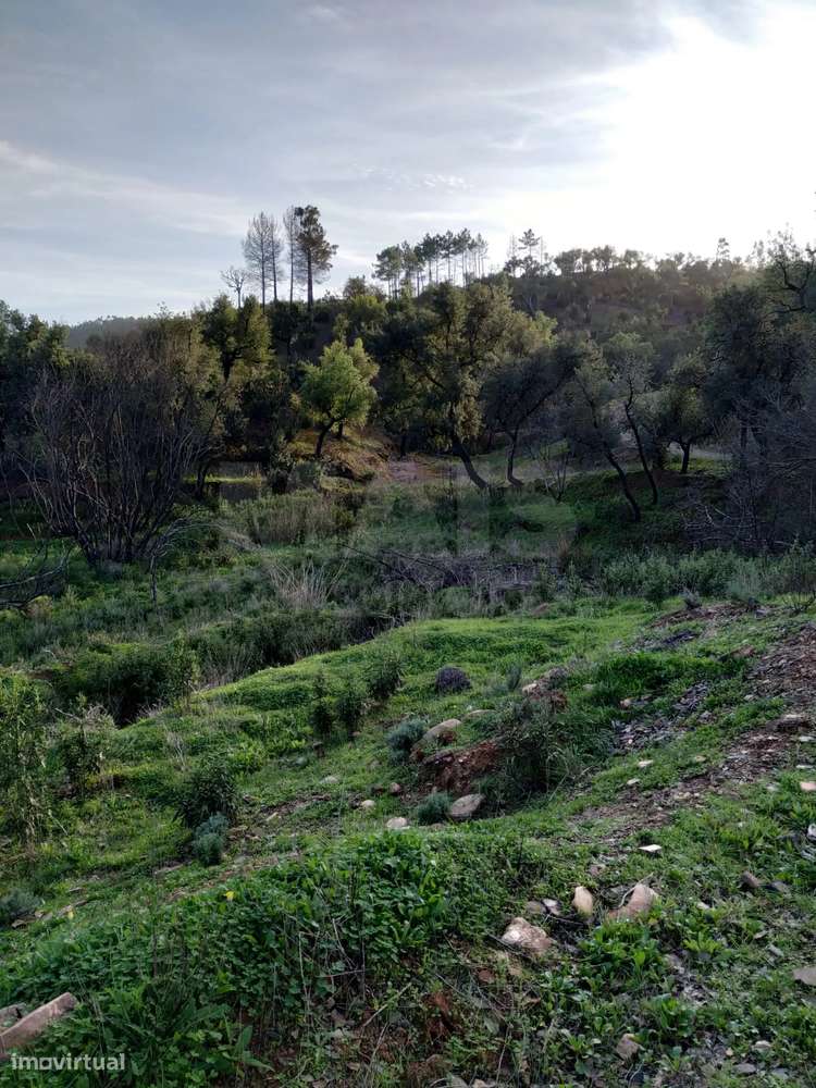 Monte Alentejano com 2 ruínas - Grande imagem: 5/8