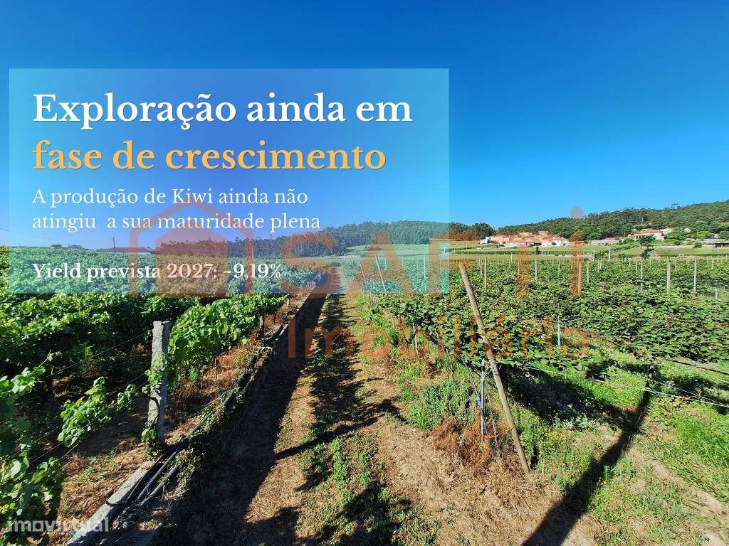 Terreno com Produção de Kiwi + Rentabilidade >9% + Potencial Turíst... - Grande imagem: 4/19