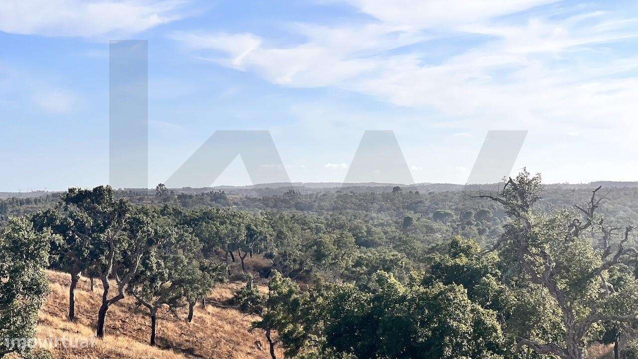 Propriedade única na Serra de Grândola - Terreno de 6,9 ha com vista p-43