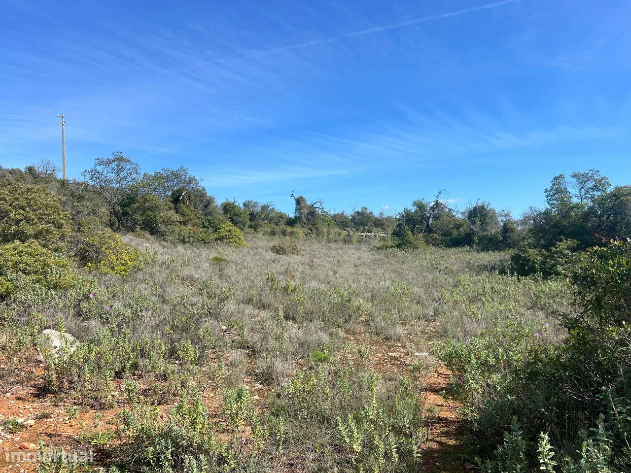 Terreno Rústico com 3.320m2 a 4 km de Paderne - Grande imagem: 3/6