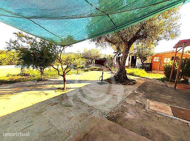 Terreno com vista Lago Alqueva-5