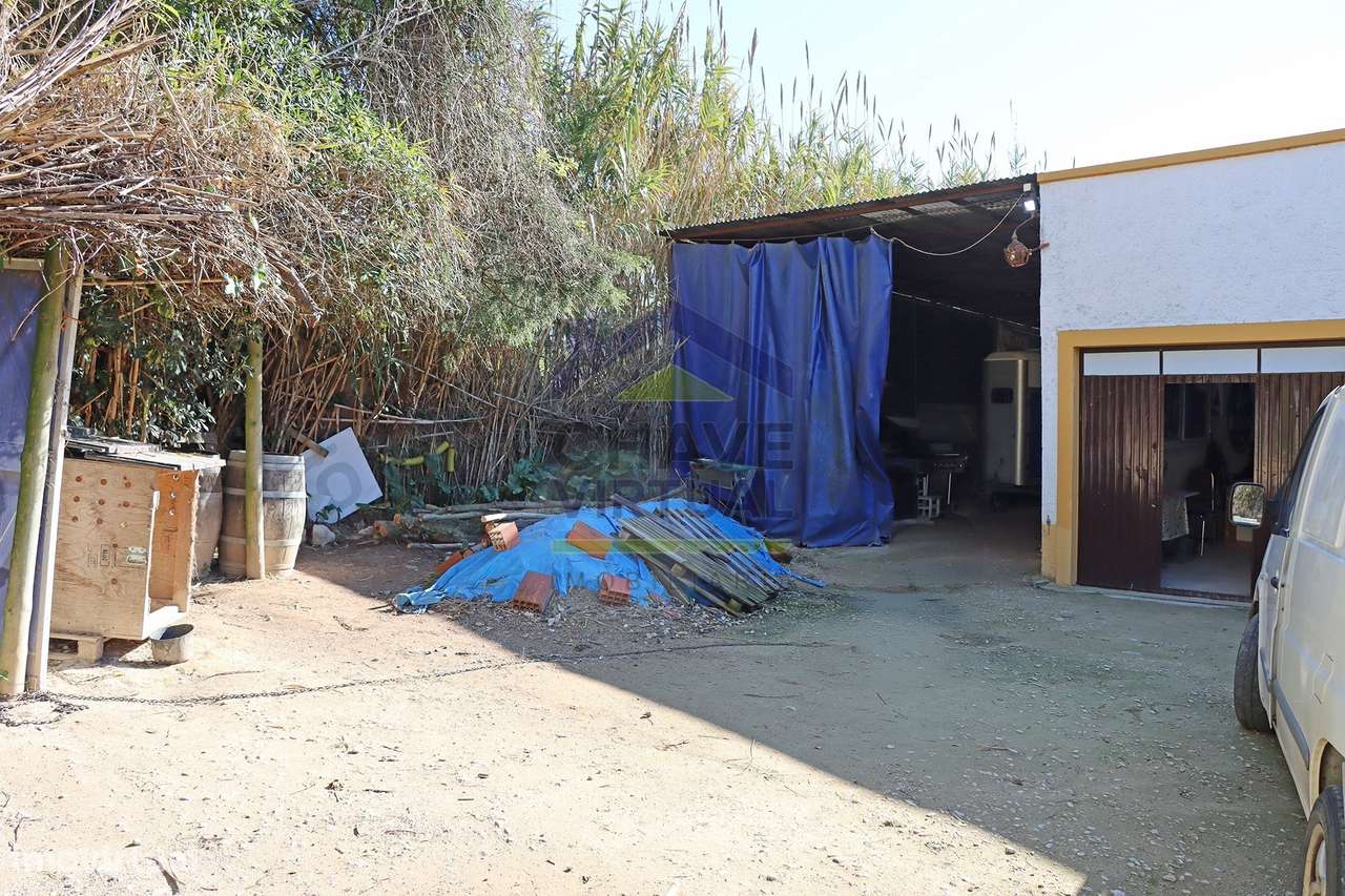 Magnífica Quinta c/ 10.490 m2 Concelho Cadaval-18