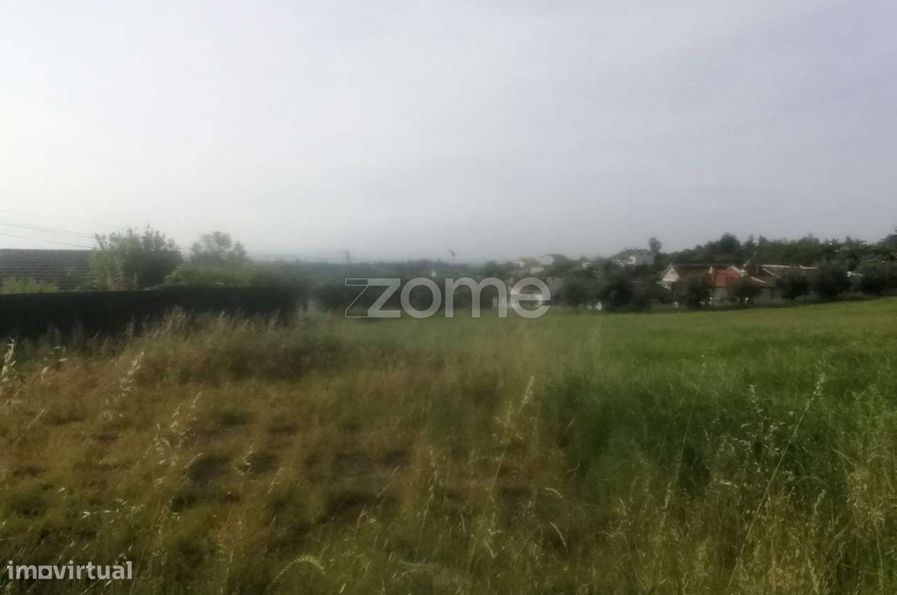 Terreno Rústico e Casas com vista para a Serra do Caramulo - Grande imagem: 5/18