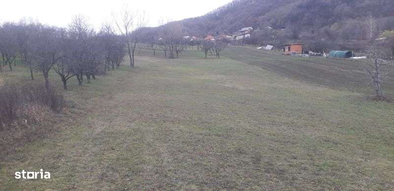 Teren Vladesti Priporu - Imagine principală: 4/7