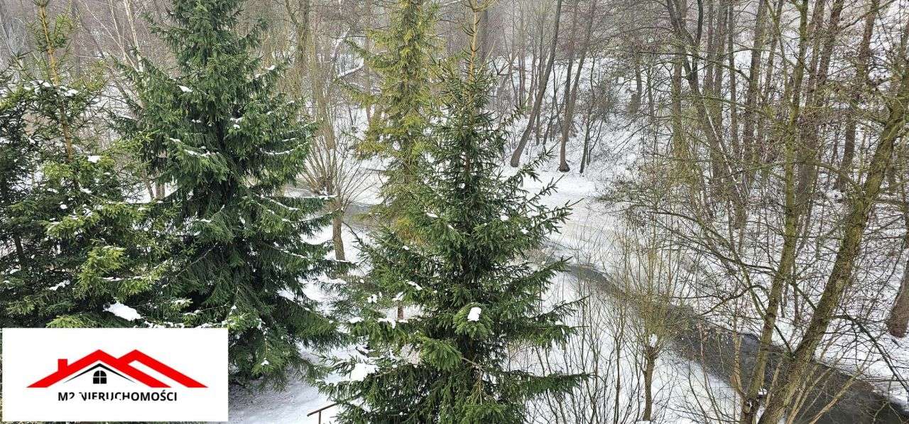 Lidzbark! • Dawny młyn nad rzeką - unikatowa inwes-2