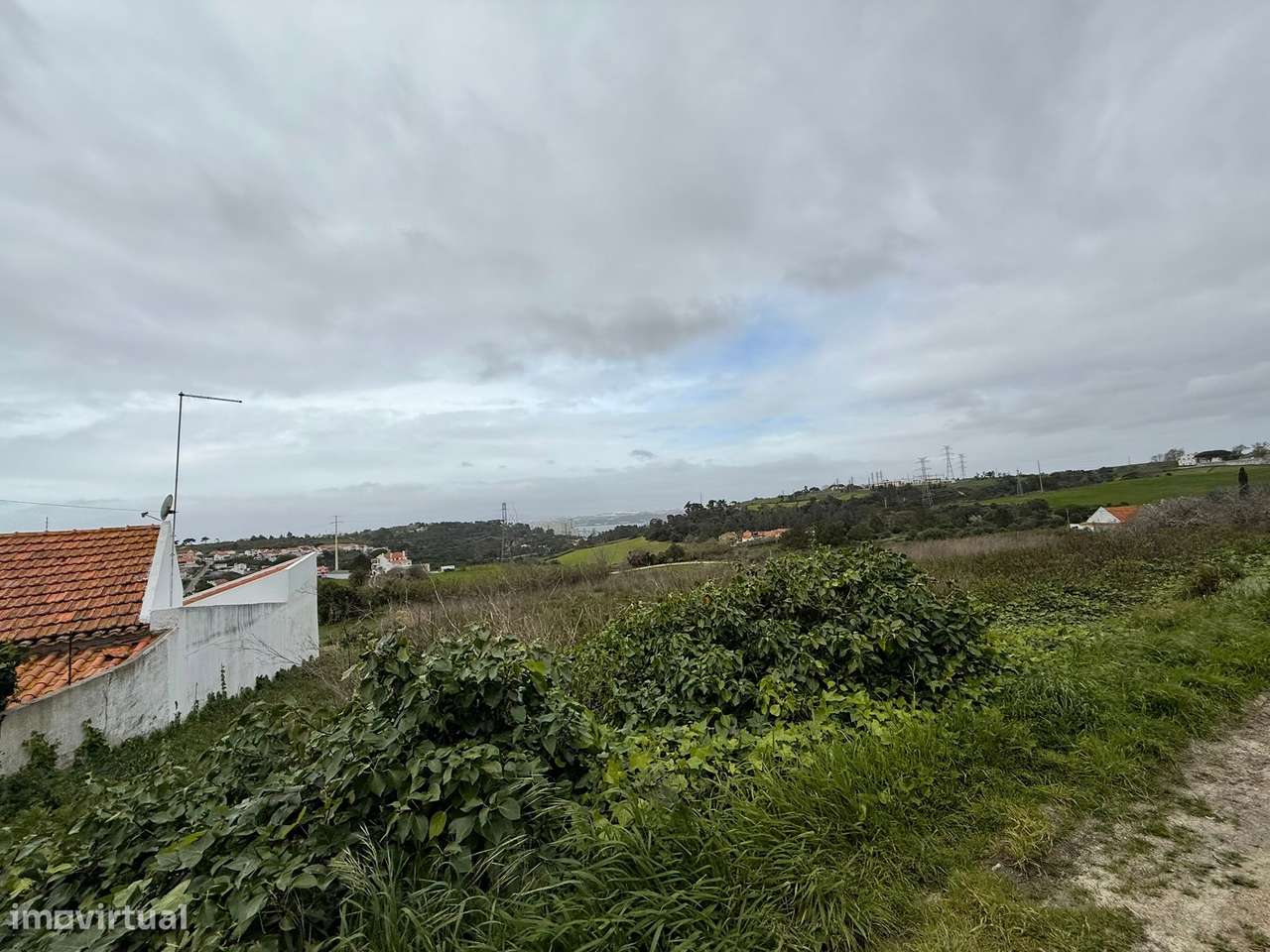 Terreno Rústico, Pêra - Grande imagem: 5/13