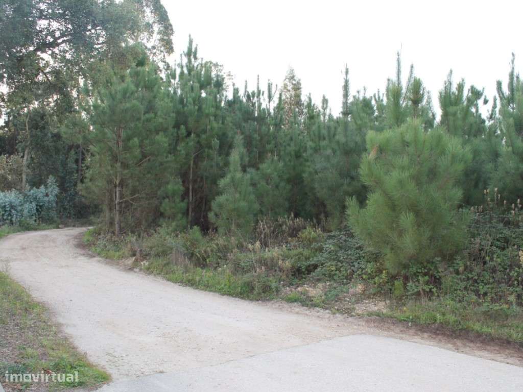 Terreno --2