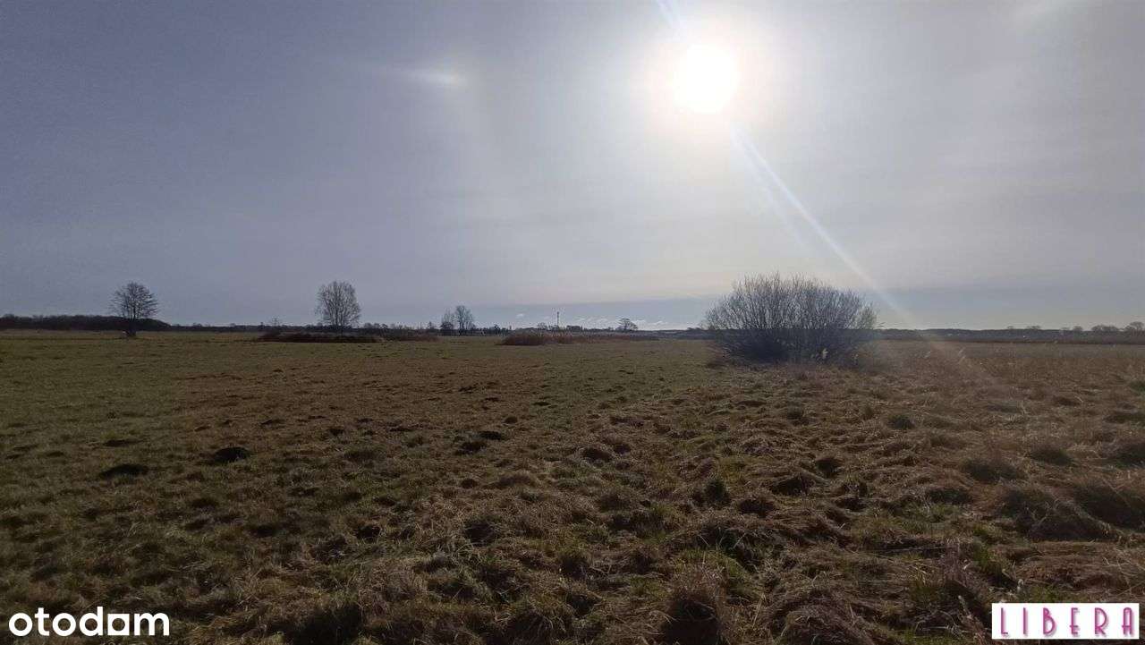 Tylko u nas! Dzialka bydowlana, Januszkowo-10