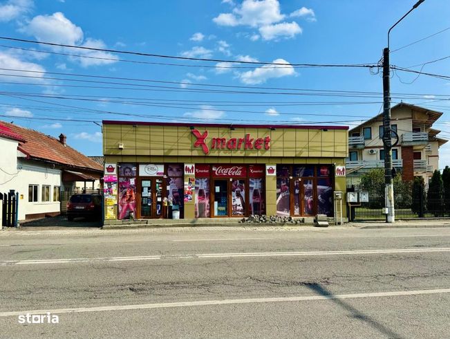 Spatiu comercial cu panouri solare, Targu Jiu, Calea Severinului-13