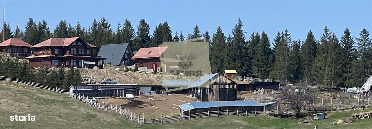 Terenuri cu PUZ si apa suprafete intre 570 mp 2025 mp in Paltinis- Sib - Imagine principală: 1/7