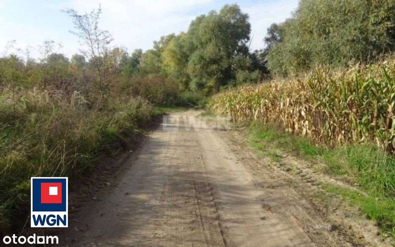 Działka Z Linią Brzegową Jeziora-12