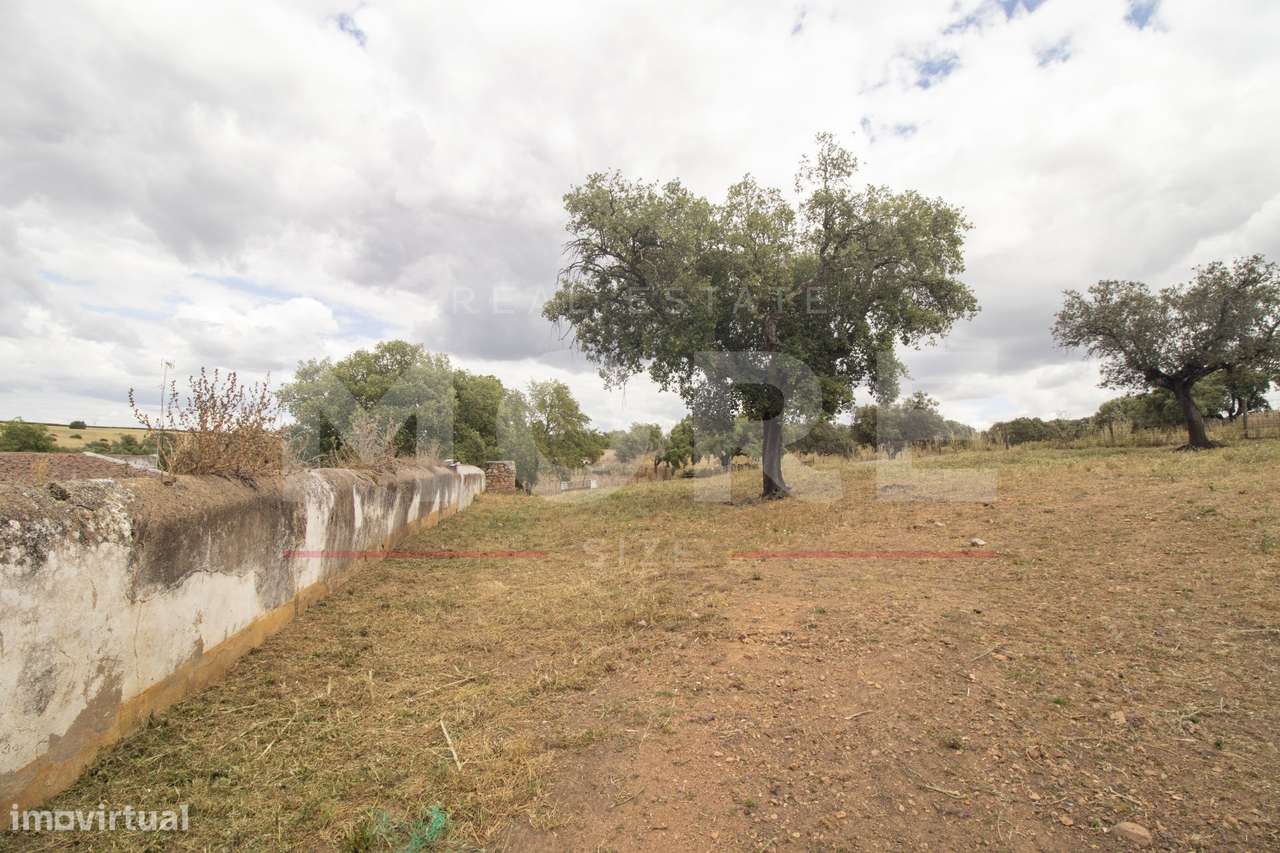 Herdade - Alvito-41
