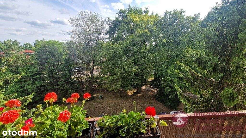 Na sprzedaż ładne 2 pokoje na Osiedlu Młodych-8