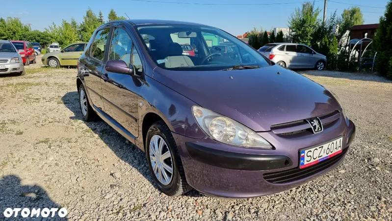 Peugeot 307 1.6 XS - 2