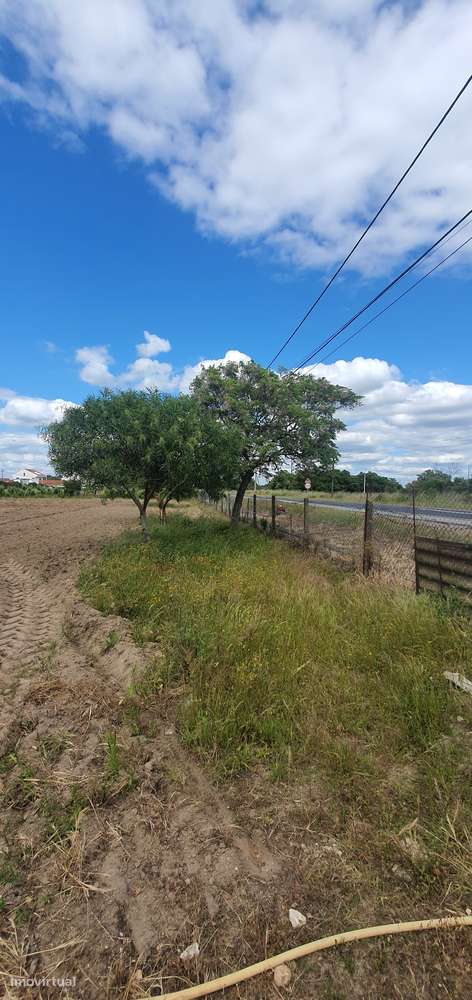 Quinta  5000m2 Viver no Campo Com a Cidade Por Perto Passil Alcochete-37