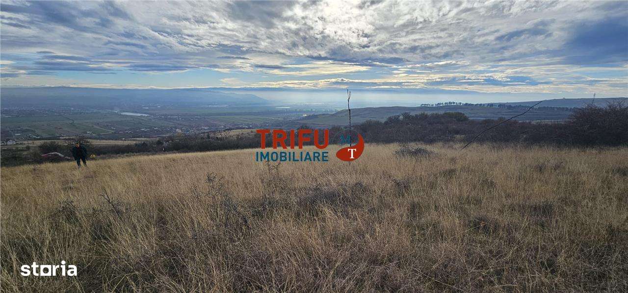 Teren extravilan în zona Pâclișa - Imagine principală: 4/5