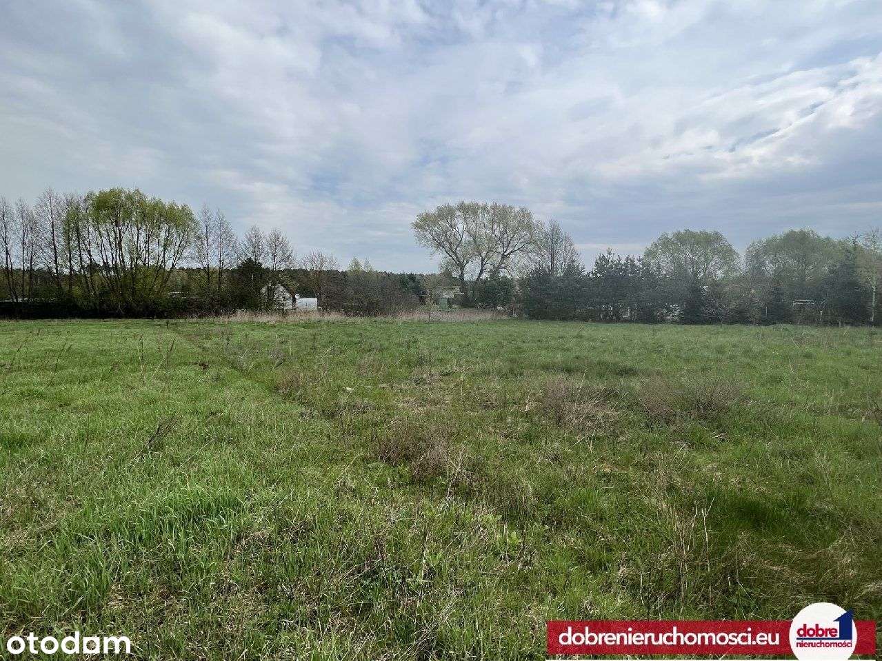 Działka 1535m2 z Wz Olek/Żurczyn - Pełny obrazek: 5/5