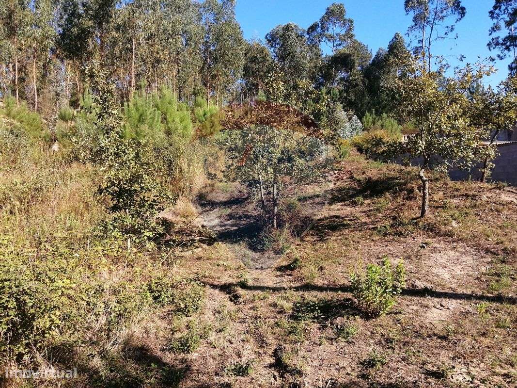 Terreno  para venda - Grande imagem: 2/3