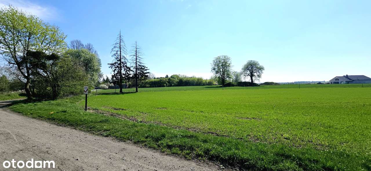 Działka 2244m2 , Kołata , Pobiedziska - Pełny obrazek: 2/13