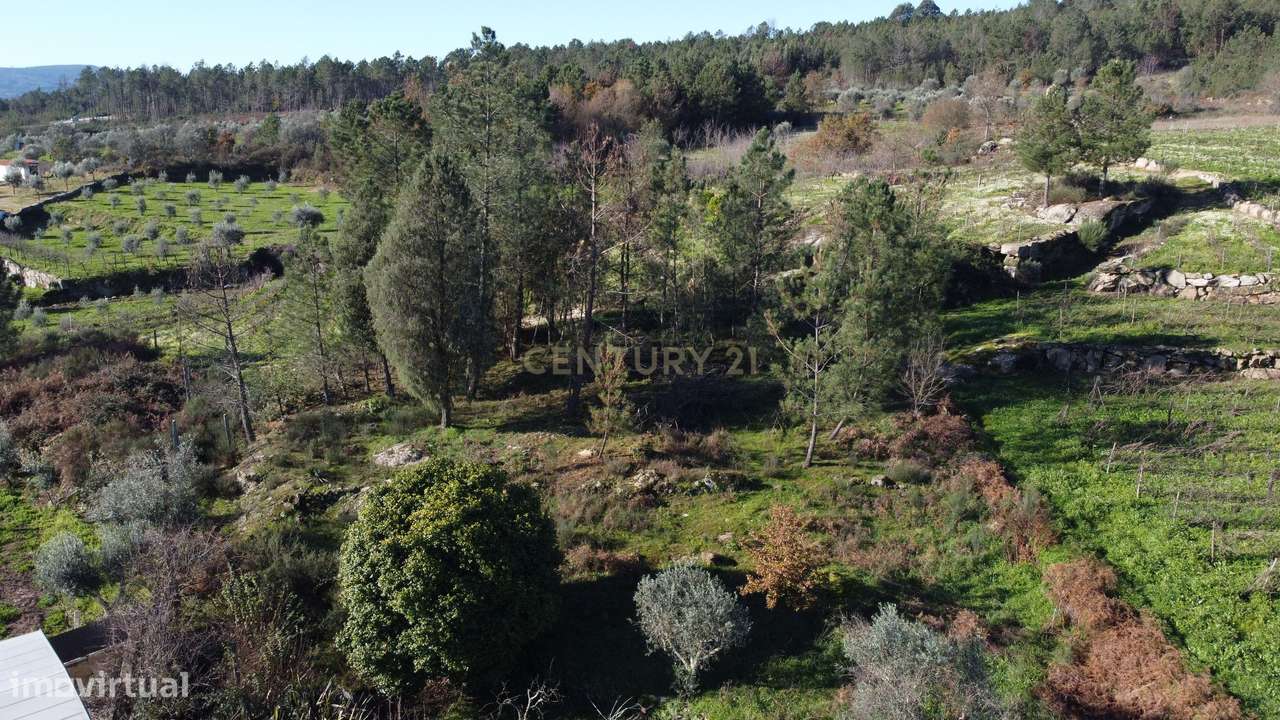 Moradia isolada em Pedra - Penalva do Castelo - Grande imagem: 4/17